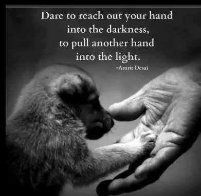 Hand reaching toward a small dog with the quote: Dare to reach out your hand into the darkness, to pull another hand into the light.